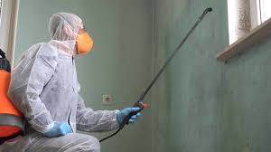 Mold Odor Removal Services in Cutten, CA