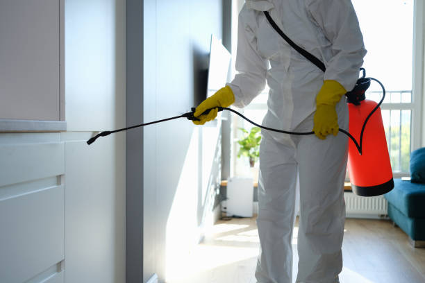 Environmental Consulting for Mold Prevention in Cutten, CA